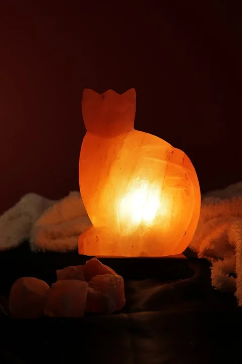 Himalaya Kedi Model Tuz Lambası Ahşap Kaideli Dekoratif Ortam Lambası